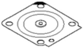 Diaphragm Diaphragm