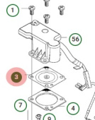 Diaphragm Diaphragm