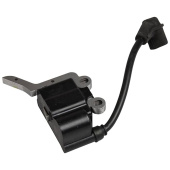 Ignition module Ignition module