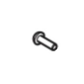 Screw Screw