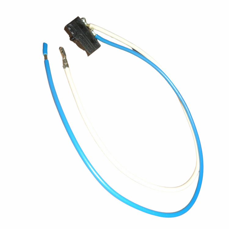 Micro Switch 5080439-19