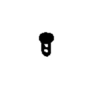Screw Screw
