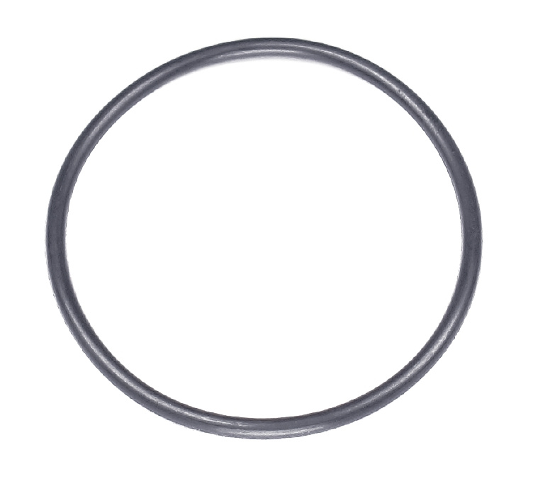 O-ring 48.9X2.62