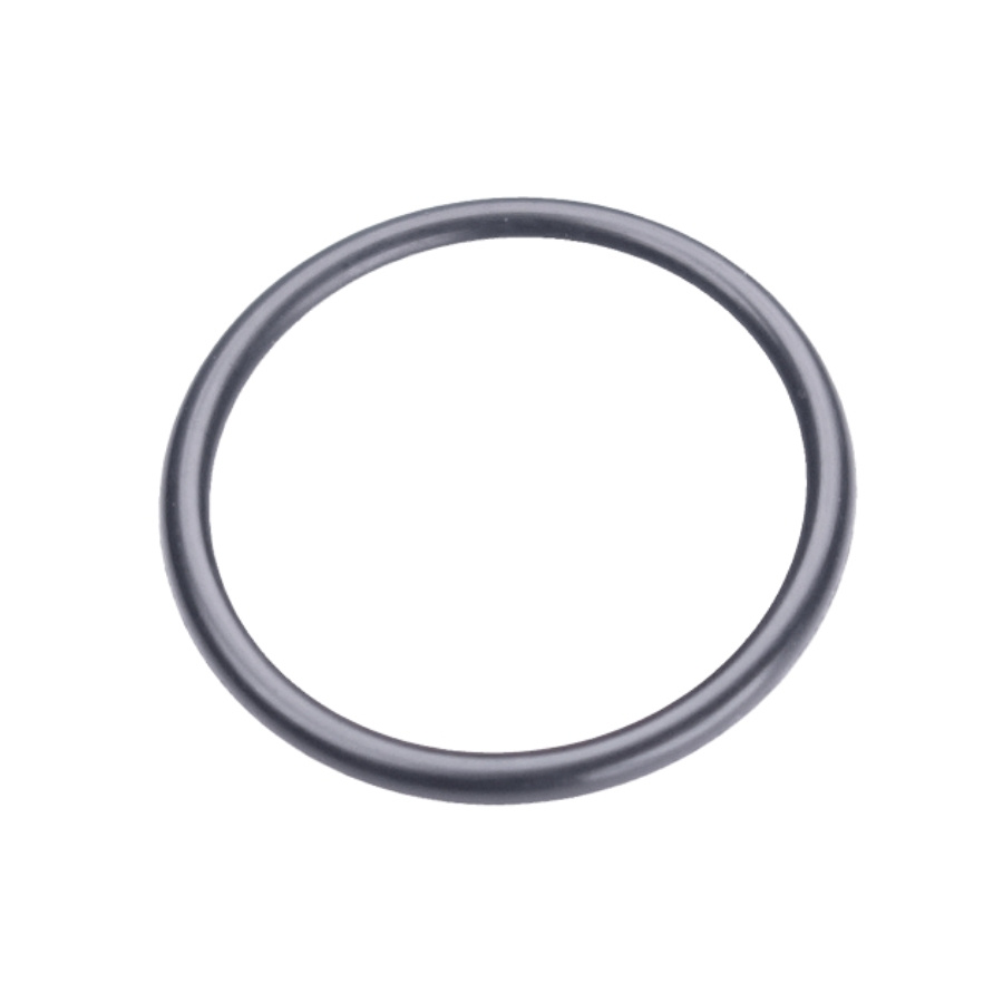 O-Ring 21.5X1.5 5203999-01