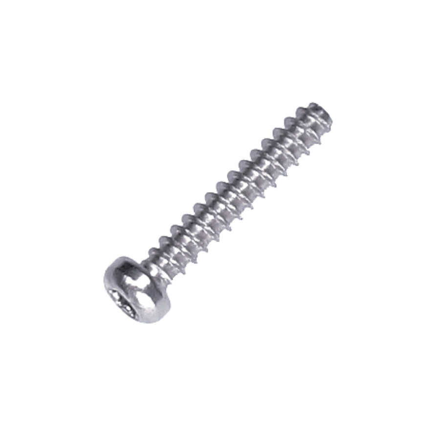 Screw 5244312-01