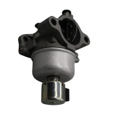 Carburetor 5254527-01 Carburetor 5254527-01