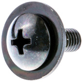 Screw Screw