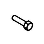 Screw Screw