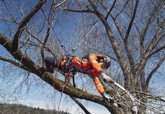 Husqvarna arborist climbing harness