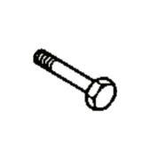 Screw Screw