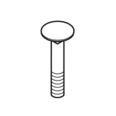 Screw Screw