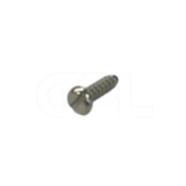 Screw Screw