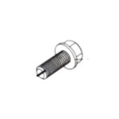 Bolt Bolt