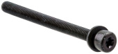 Screw Screw