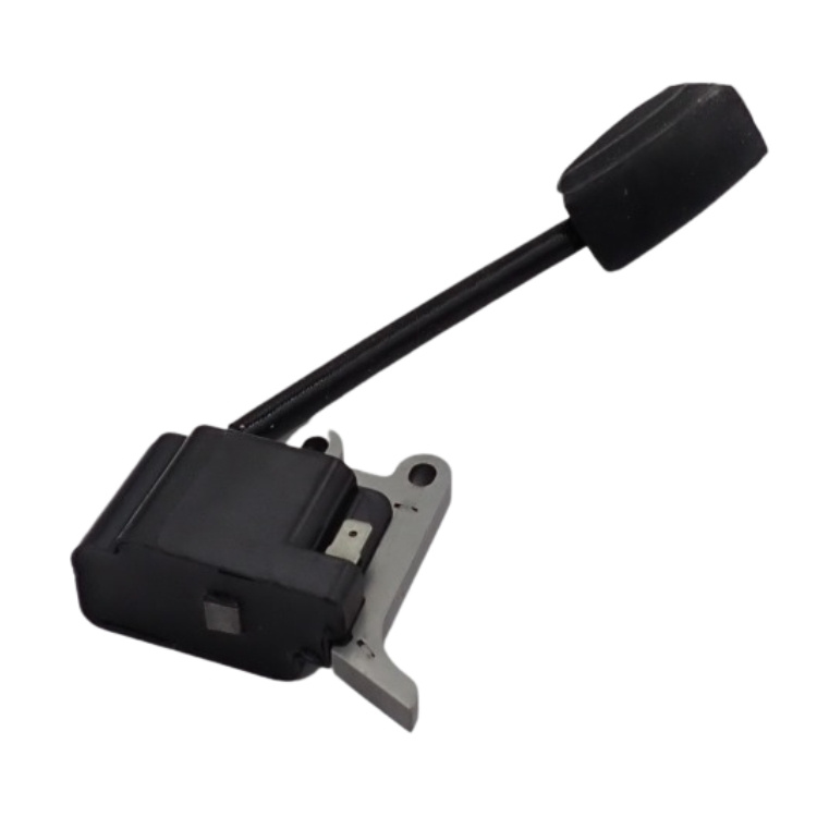 Ignition Module Assy 5771339-03