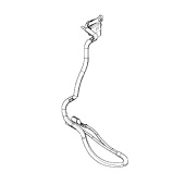Cable 5788940-01 Cable 5788940-01