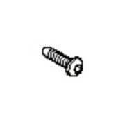 Screw Screw