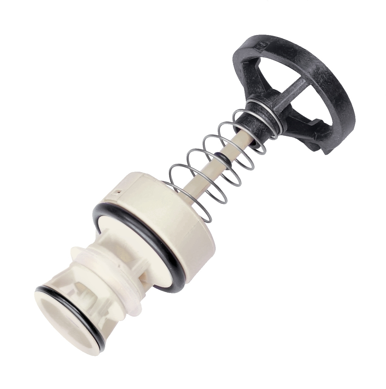 Check valve