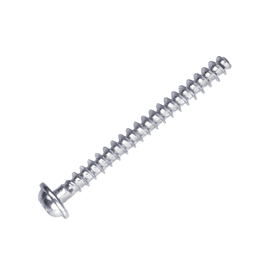 Screw 5850119-01