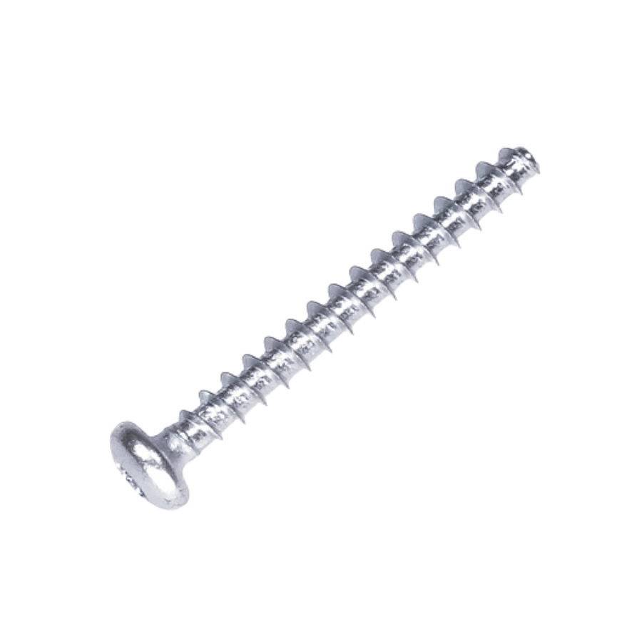 Screw 5866775-01