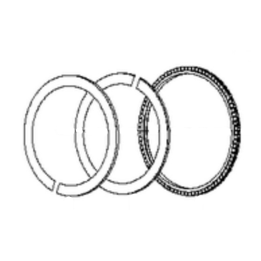 Piston Ring,Assy 5880036-01