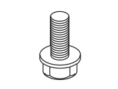 Screw Screw
