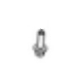 Screw Screw
