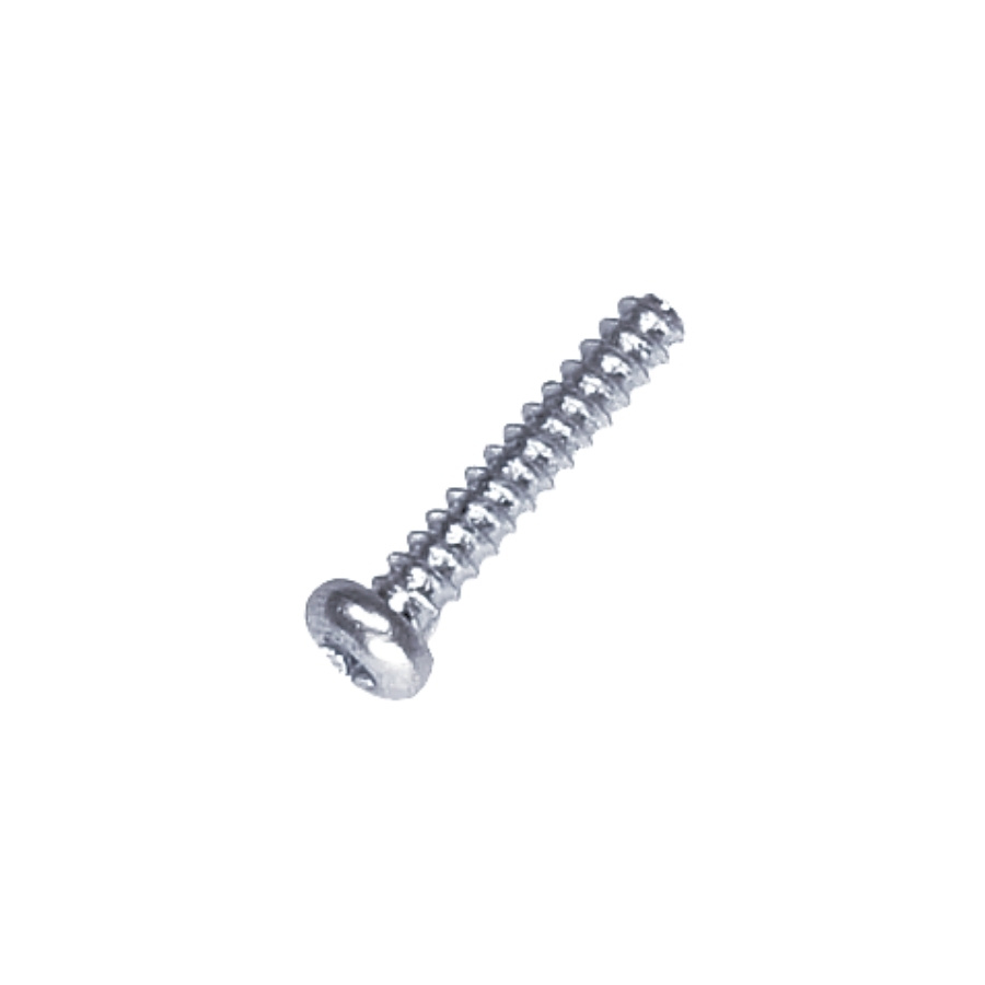 Screw T20 St 3X16 5888450-01