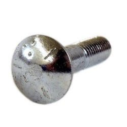 Bolt Cup Head Square Neck 1/4-