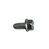 Screw Screw