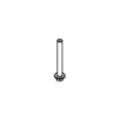 Screw Screw