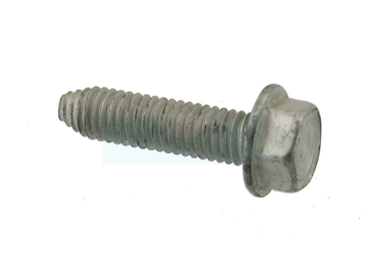 Screw 8170606-24