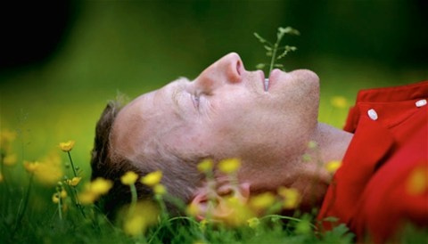 Klippo Free Lawnmower