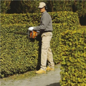 Husqvarna 525HF3S Pole hedge trimmer Husqvarna 525HF3S Pole hedge trimmer