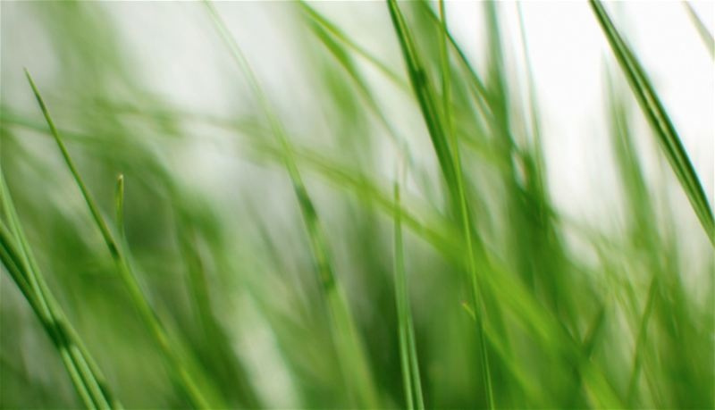 Klippo Pro 21 SH Classic Lawn mower