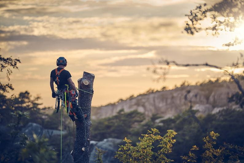 Husqvarna T540 XP® Mark III Chainsaw