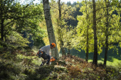 Husqvarna 450S Chainsaw Husqvarna 450S Chainsaw