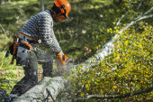 Husqvarna 450S Chainsaw Husqvarna 450S Chainsaw