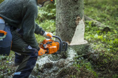 Husqvarna 450X Chainsaw Husqvarna 450X Chainsaw