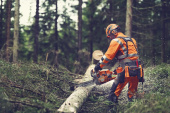 Husqvarna 564 XP® G Fuel Inject Husqvarna 564 XP® G Fuel Inject