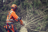 Husqvarna 564 XP® G Fuel Inject Husqvarna 564 XP® G Fuel Inject